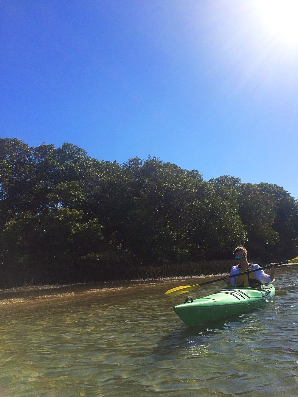 Kayaking with Bottlenose dolphins. 
