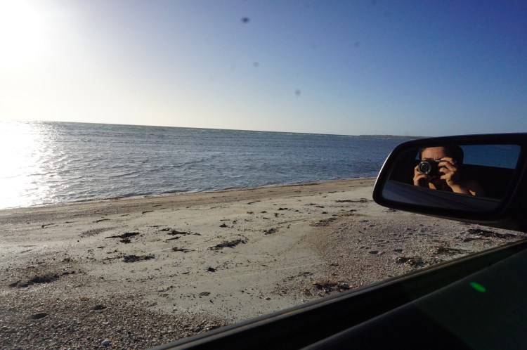 Exploring the beach in the last light of the day 