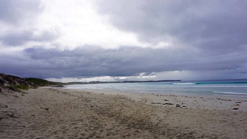 15967821_10210006631994881_382695961_o