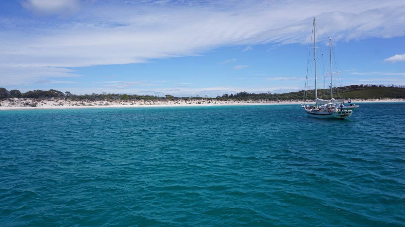 16990476_10210399215449222_588262225_o