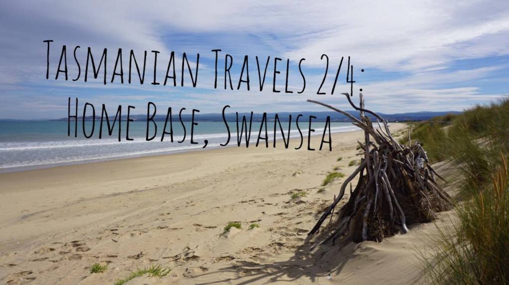 Tasmanian Travels 2/4: Home Base,&nbsp;Swansea