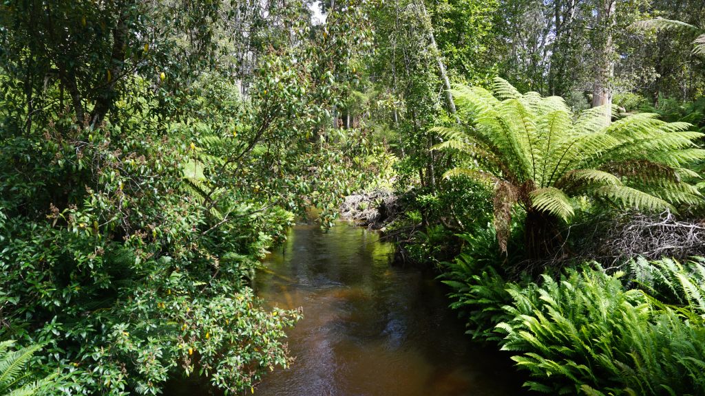 Vlog: Tassie Travels- Home Base,&nbsp;Hobart