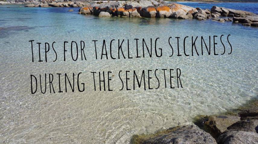 17036785_10210435119906811_107578398_o