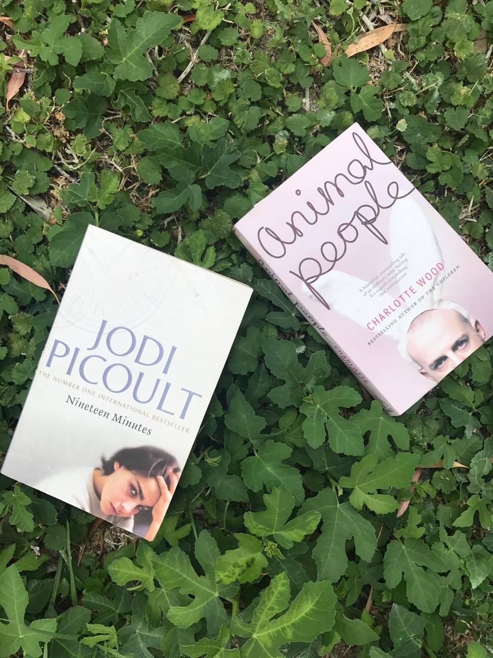 Dr.ofwhat…do you think about these books: 3rd&nbsp;edition