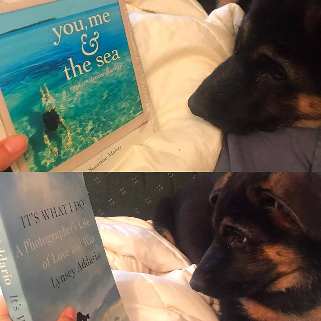 Dr.ofwhat…do you think about these books: 5th&nbsp;edition