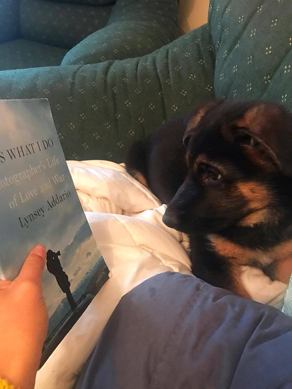 18195626_10210968003908578_2016044662_o