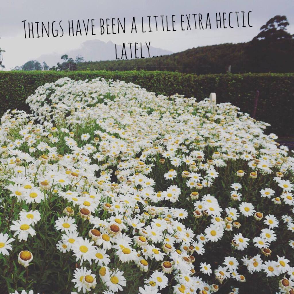 Things have been a little extra hectic&nbsp;lately…