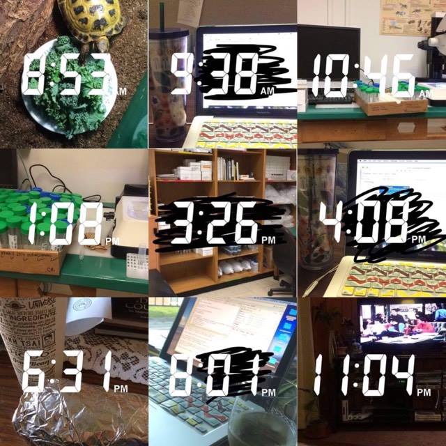 Featured ‘day in the life of’: Cari, Masters student & co-founder of the Bugs&Stuff&nbsp;podcast.