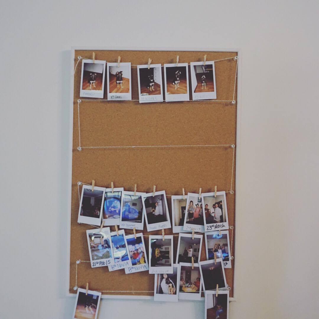 18765404_10211223617658762_1797772547_o