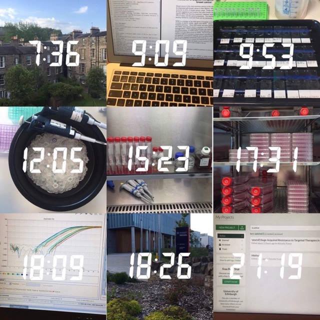 Featured ‘day in the life of’: Natasha, PhD student researching breast cancer&nbsp;therapies.