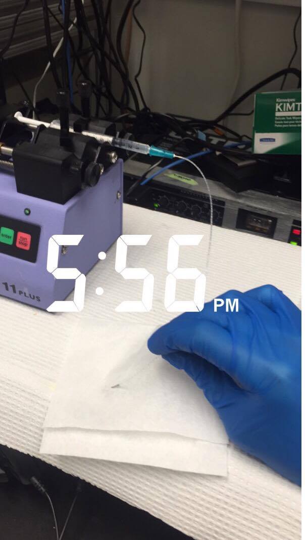 19339811_10211427951366977_2116716647_o