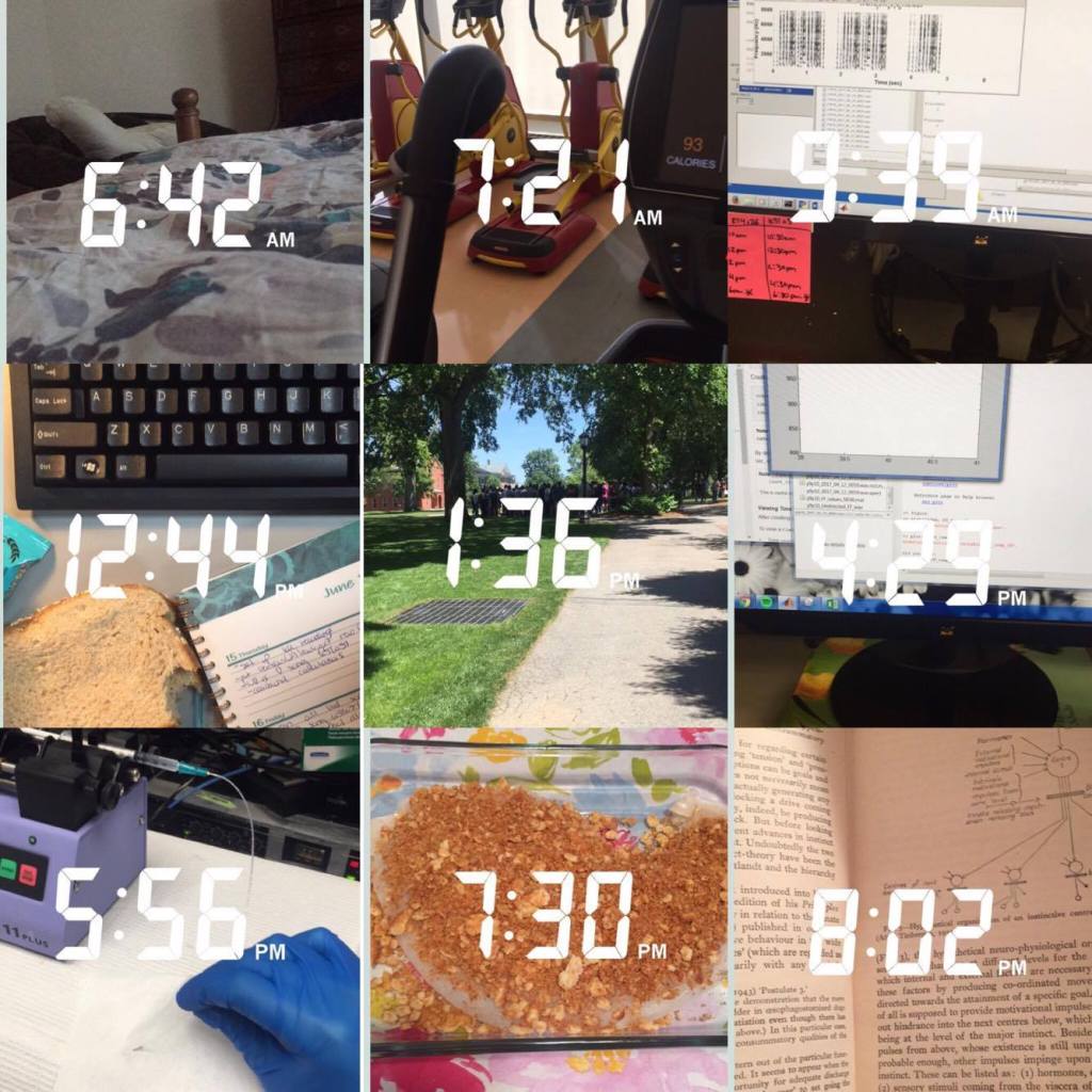 Featured ‘day in the life of’: Gina, a Biology PhD candidate studying the social regulation of zebra finch&nbsp;song.