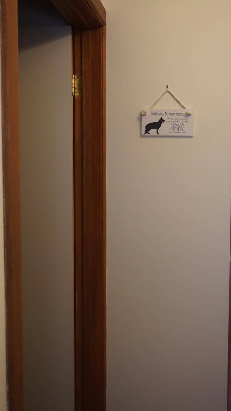 20187258_10211758945321619_126380391_o