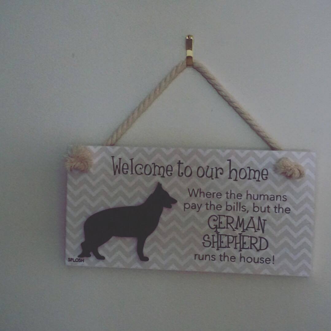 20196511_10211758960361995_963056333_o