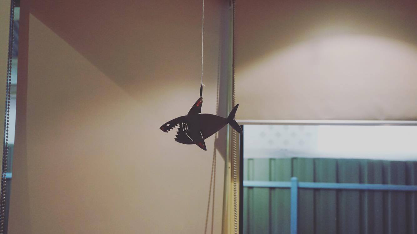 20226381_10211758960401996_1231773840_o