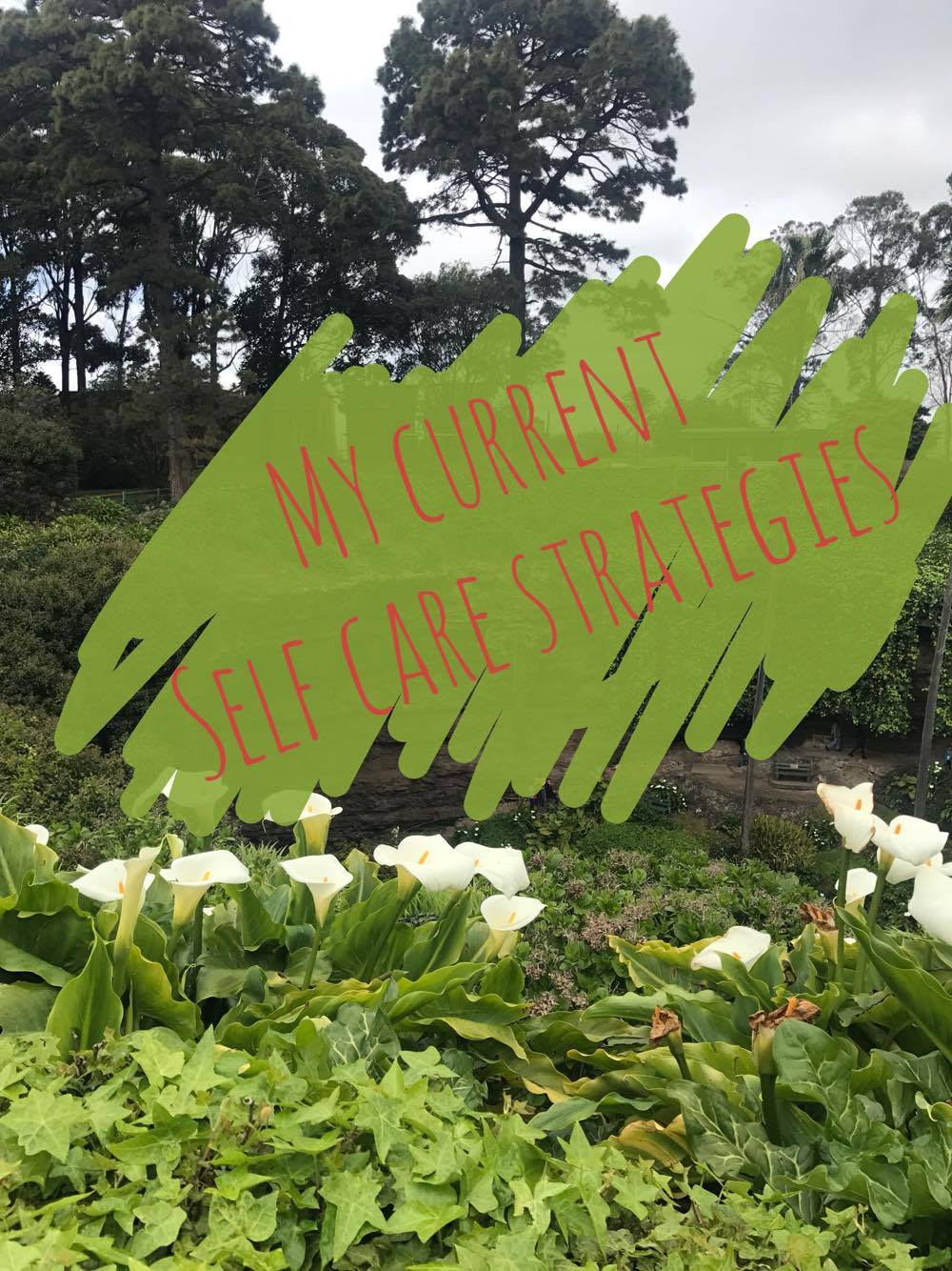 My current self care&nbsp;strategies