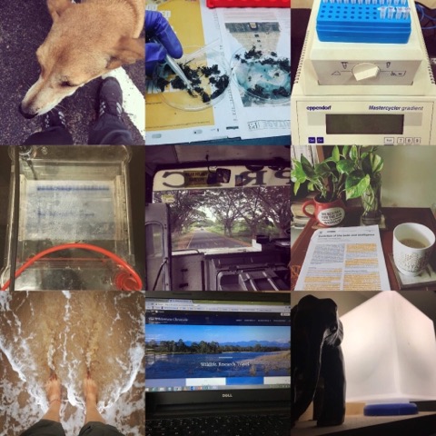 Featured ‘Day in the life of’: Tamanna, Wildlife Conservationist researcher, currently focusing on identifying Asian&nbsp;Elephants.