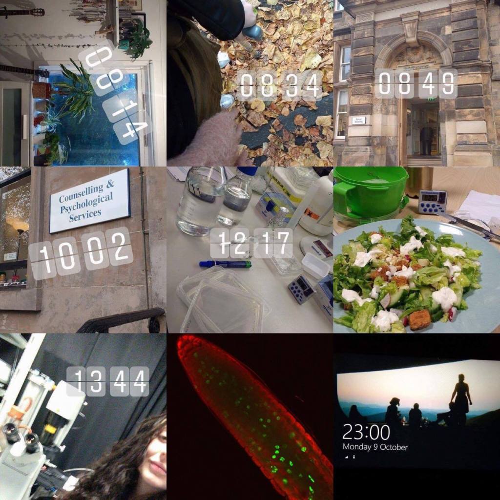 Featured ‘Day in the life of’: Emily, a PhD student studying epigenetic regulation in plants, and a disability in science advocate, and&nbsp;blogger.