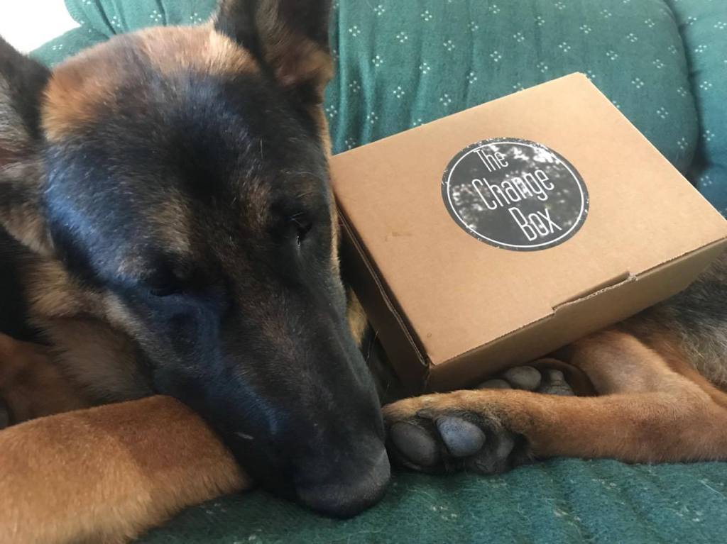 ‘The Change Box’ October&nbsp;(Unboxing).