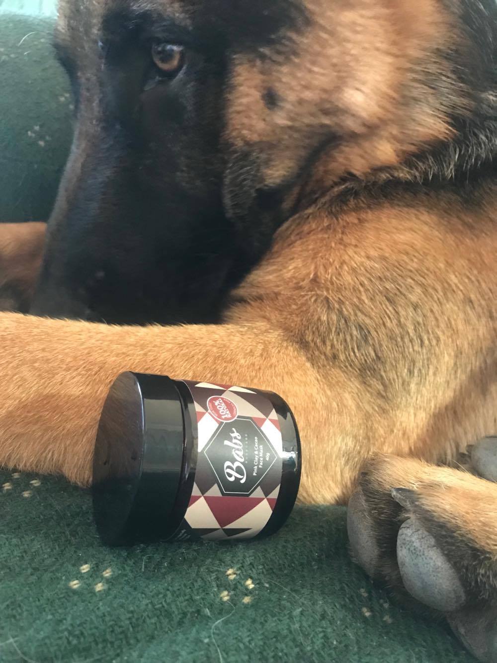 22550940_10212469804492654_449677611_o