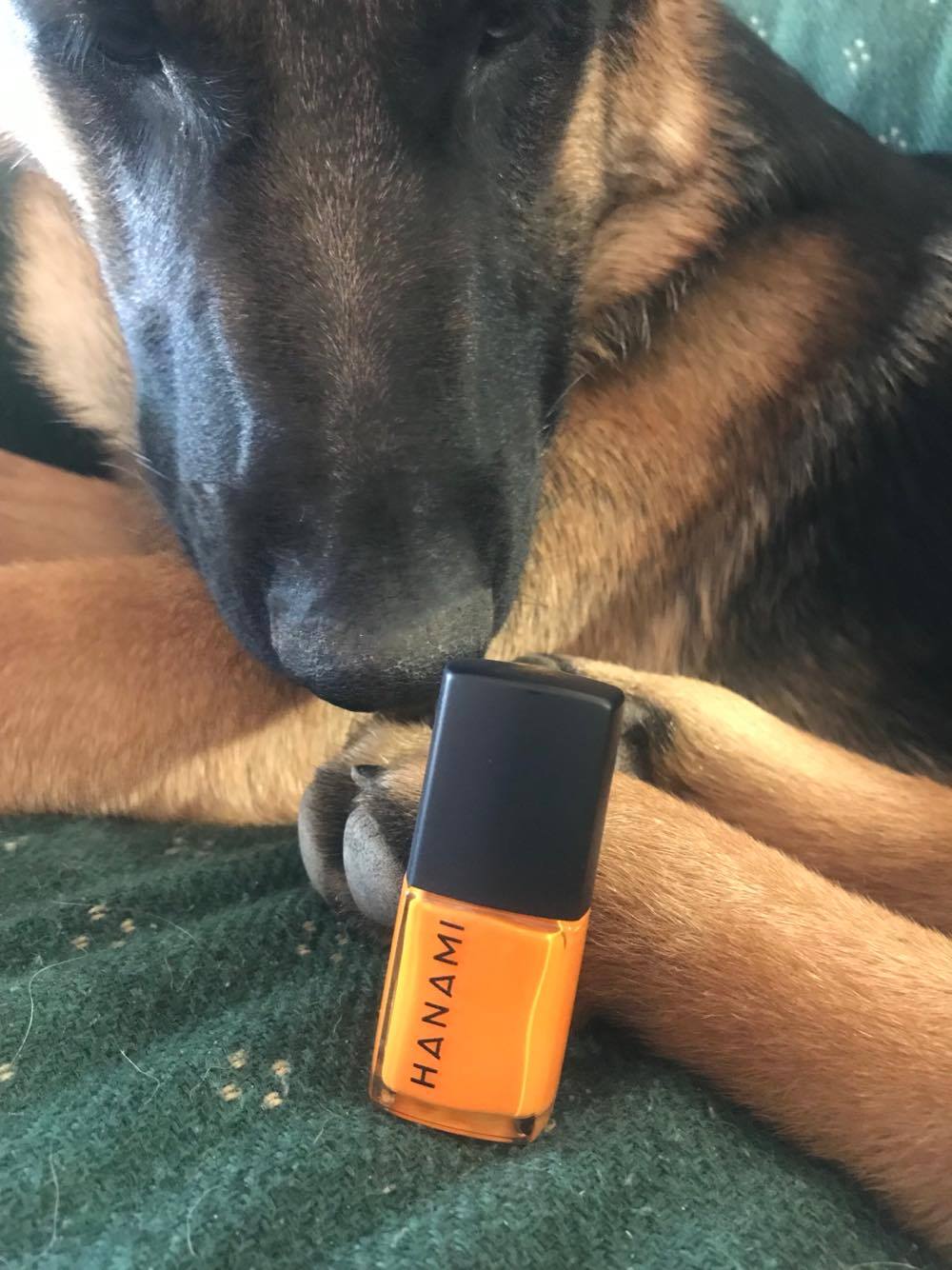 22553511_10212469804652658_1981956593_o