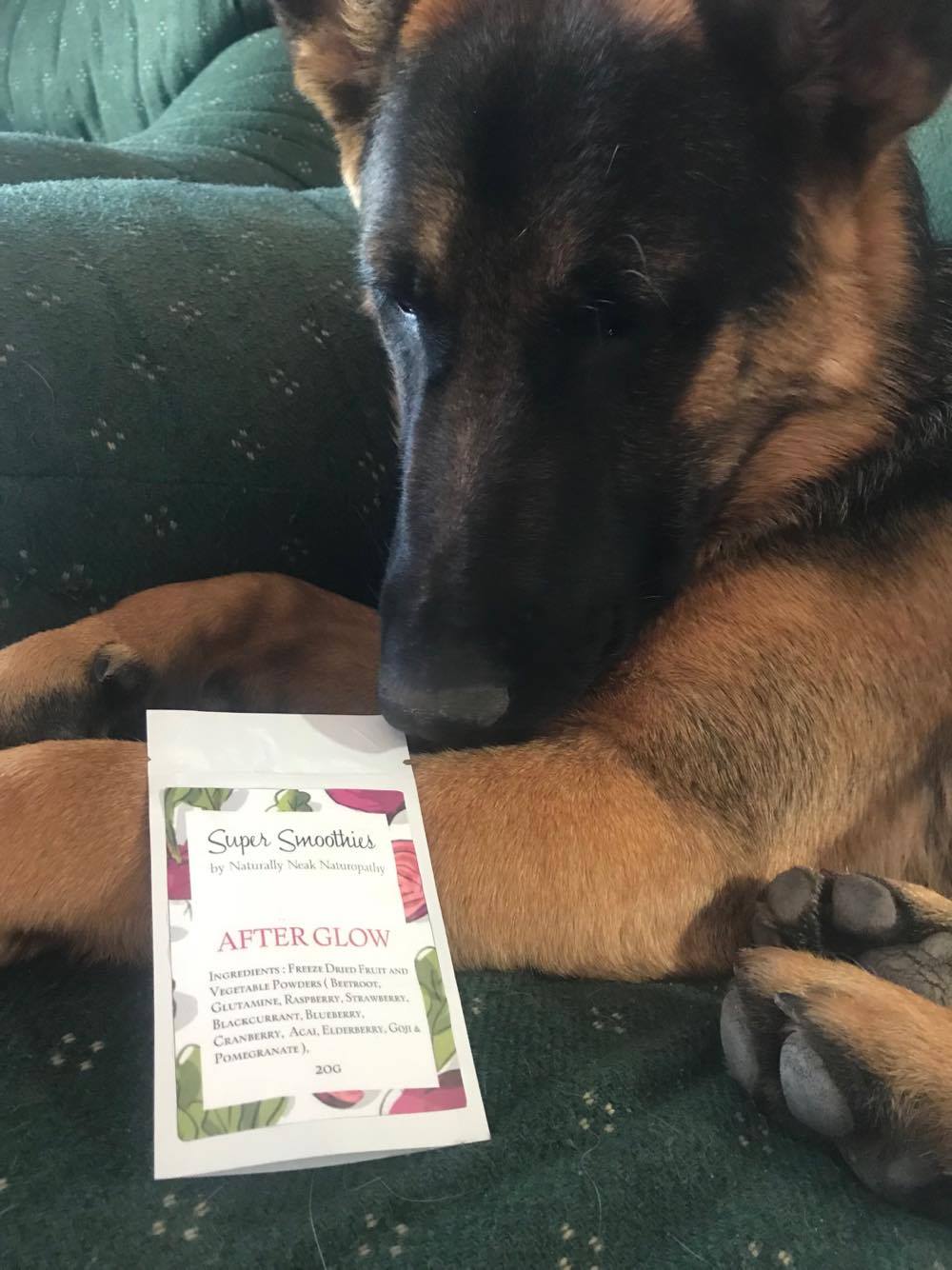 22563551_10212469804692659_982906439_o