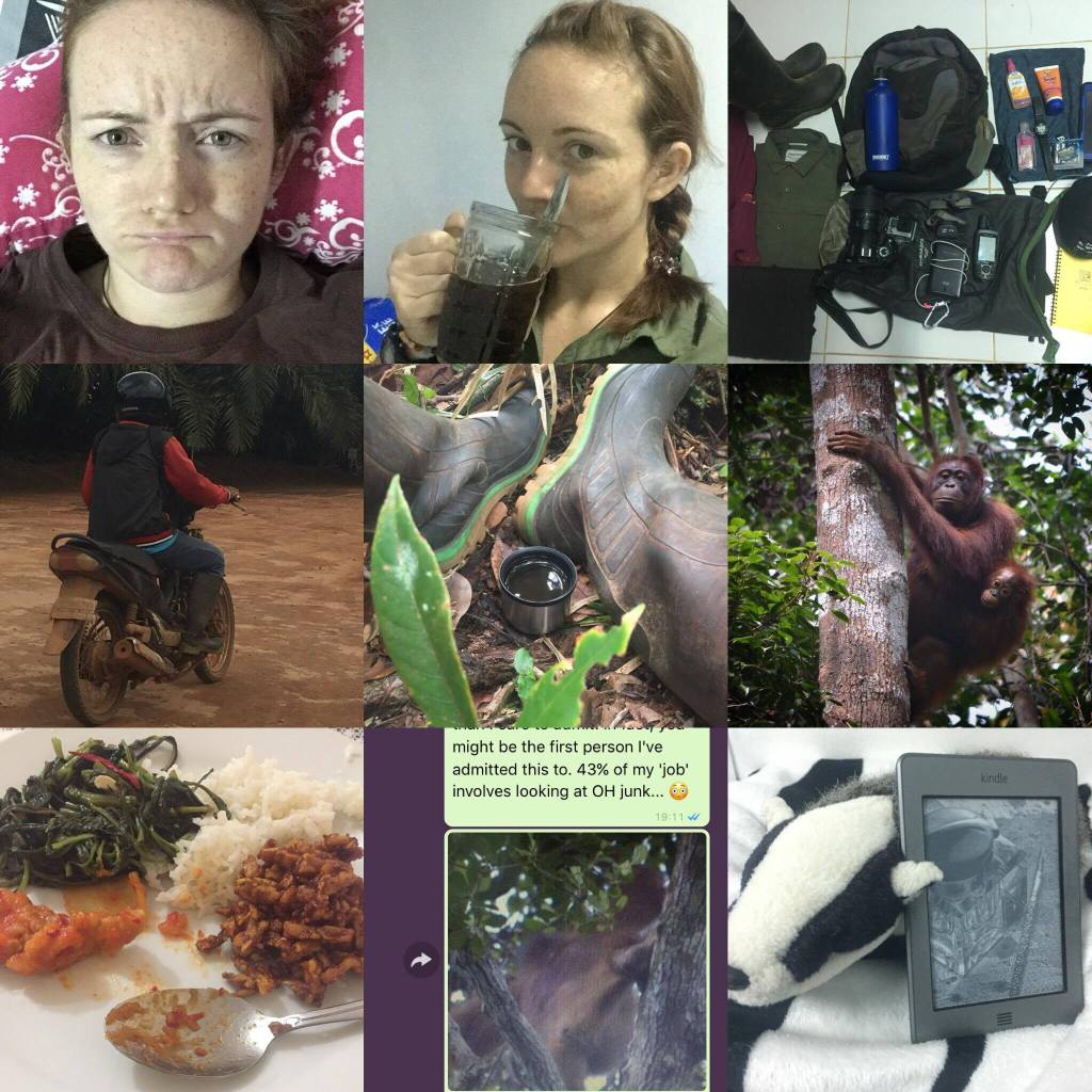 Featured ‘Day in the life of’: Kat, a first year PhD student researching the effects of oil palm monoculture on orangutan&nbsp;behaviour.