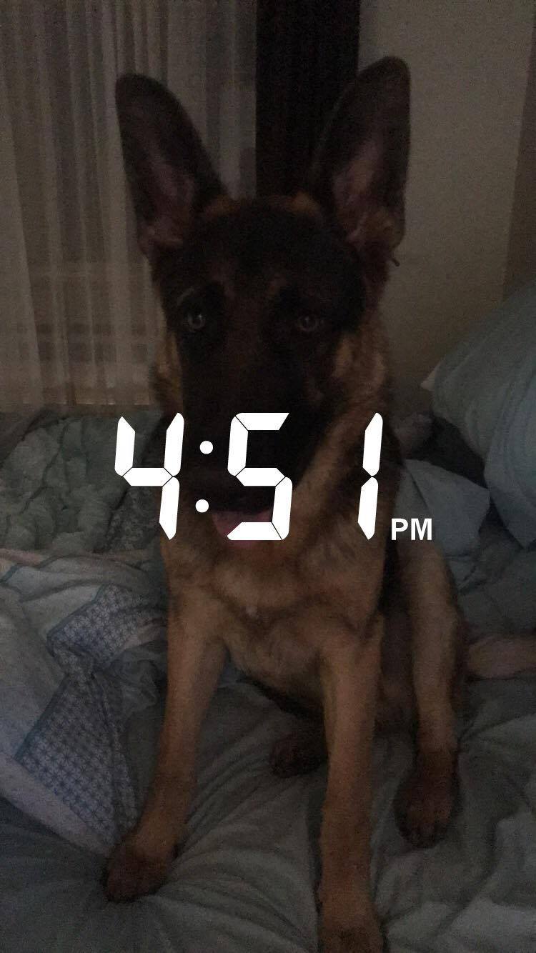 23376916_10212634306445100_1435380857_o