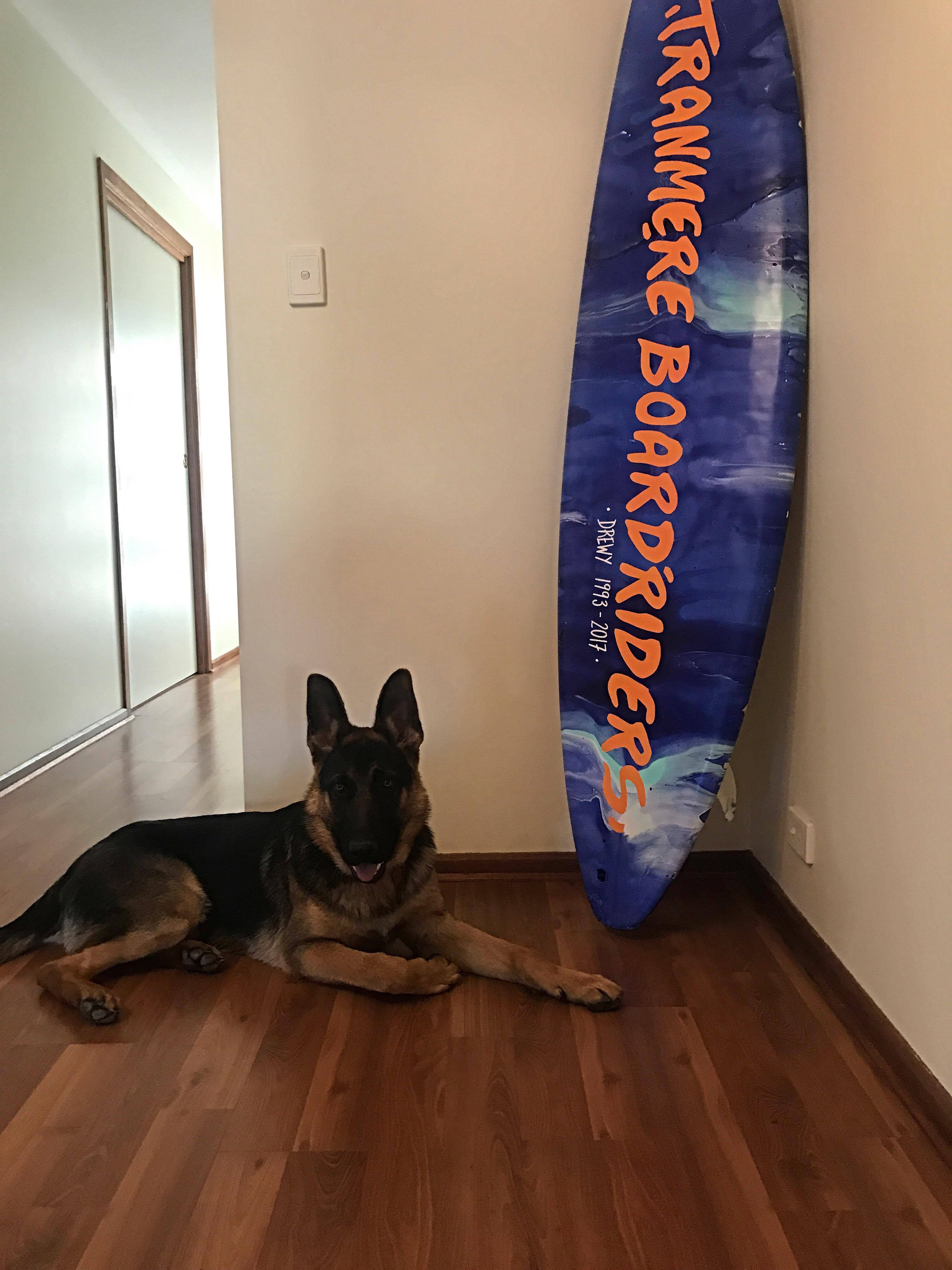 23468485_10212662414627787_1681383611_o