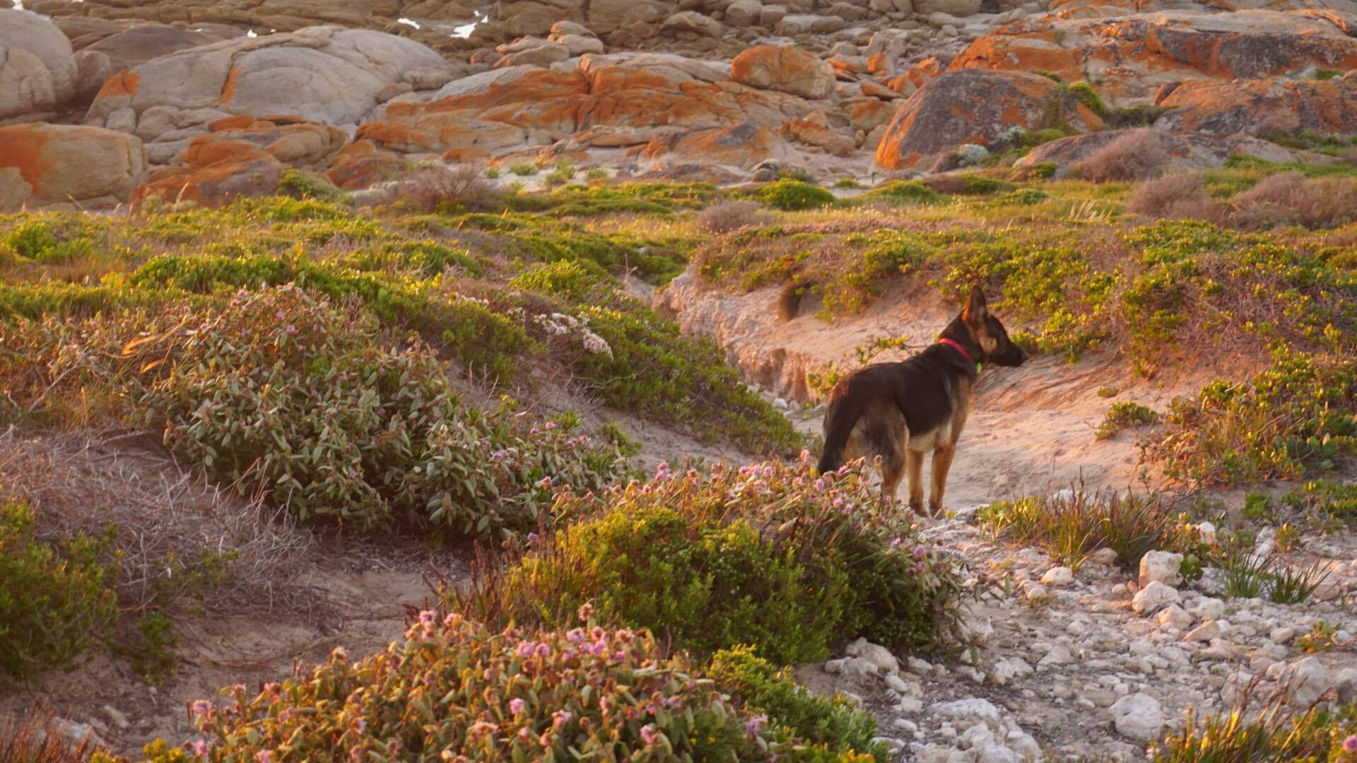 23468513_10212662414347780_1184121814_o