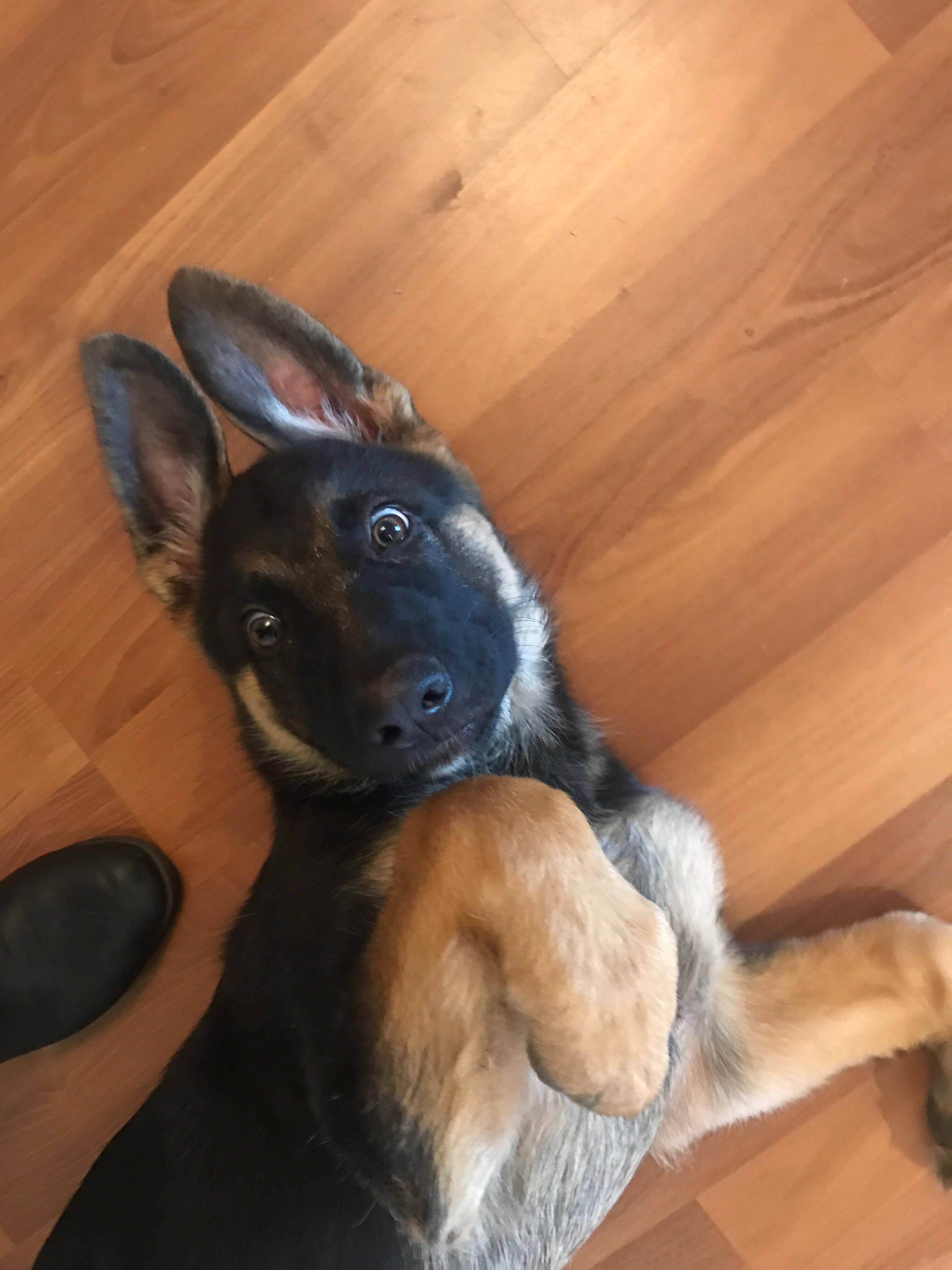 23468997_10212662423107999_1087885118_o