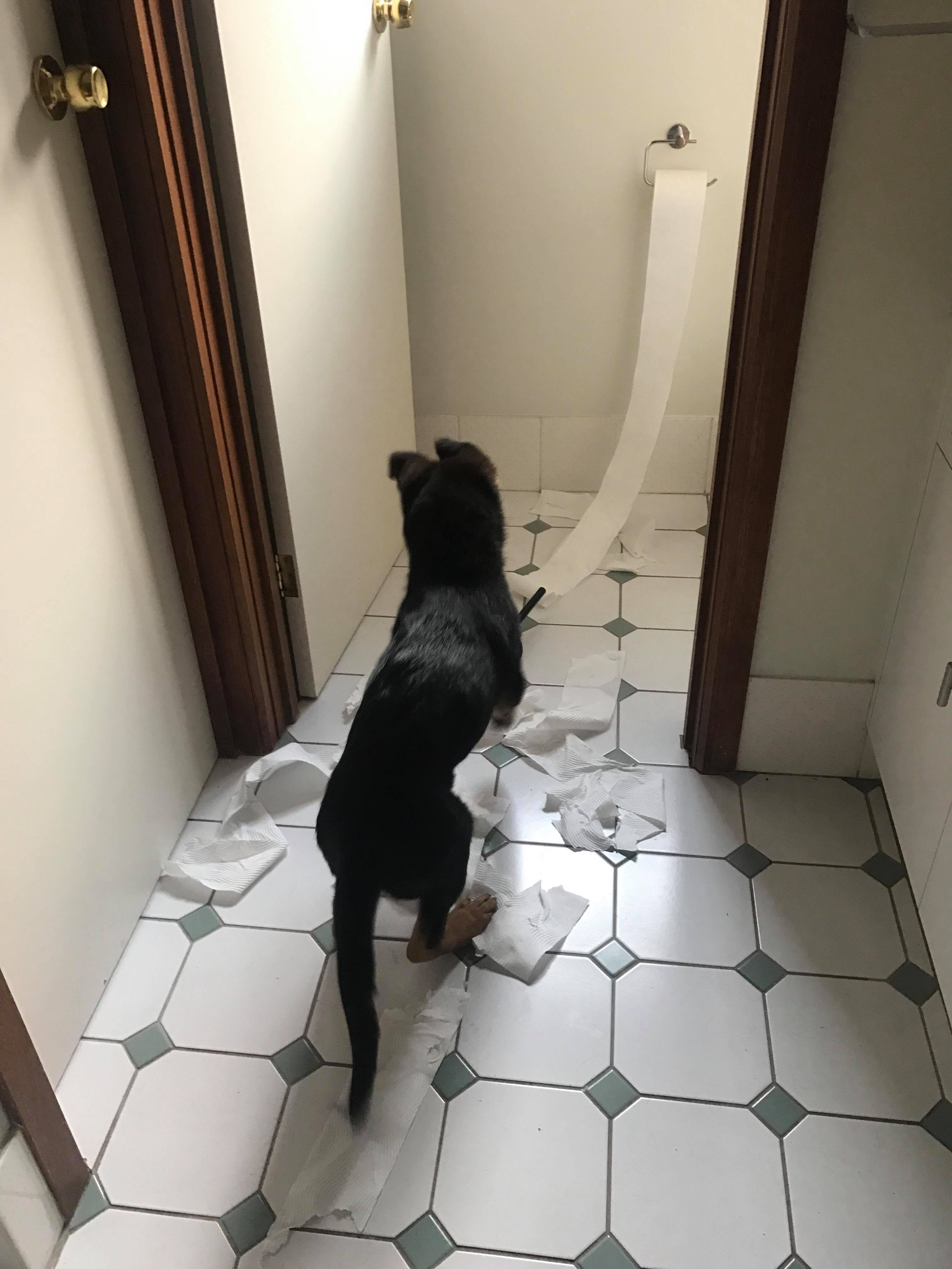 23469204_10212662423708014_1949063712_o