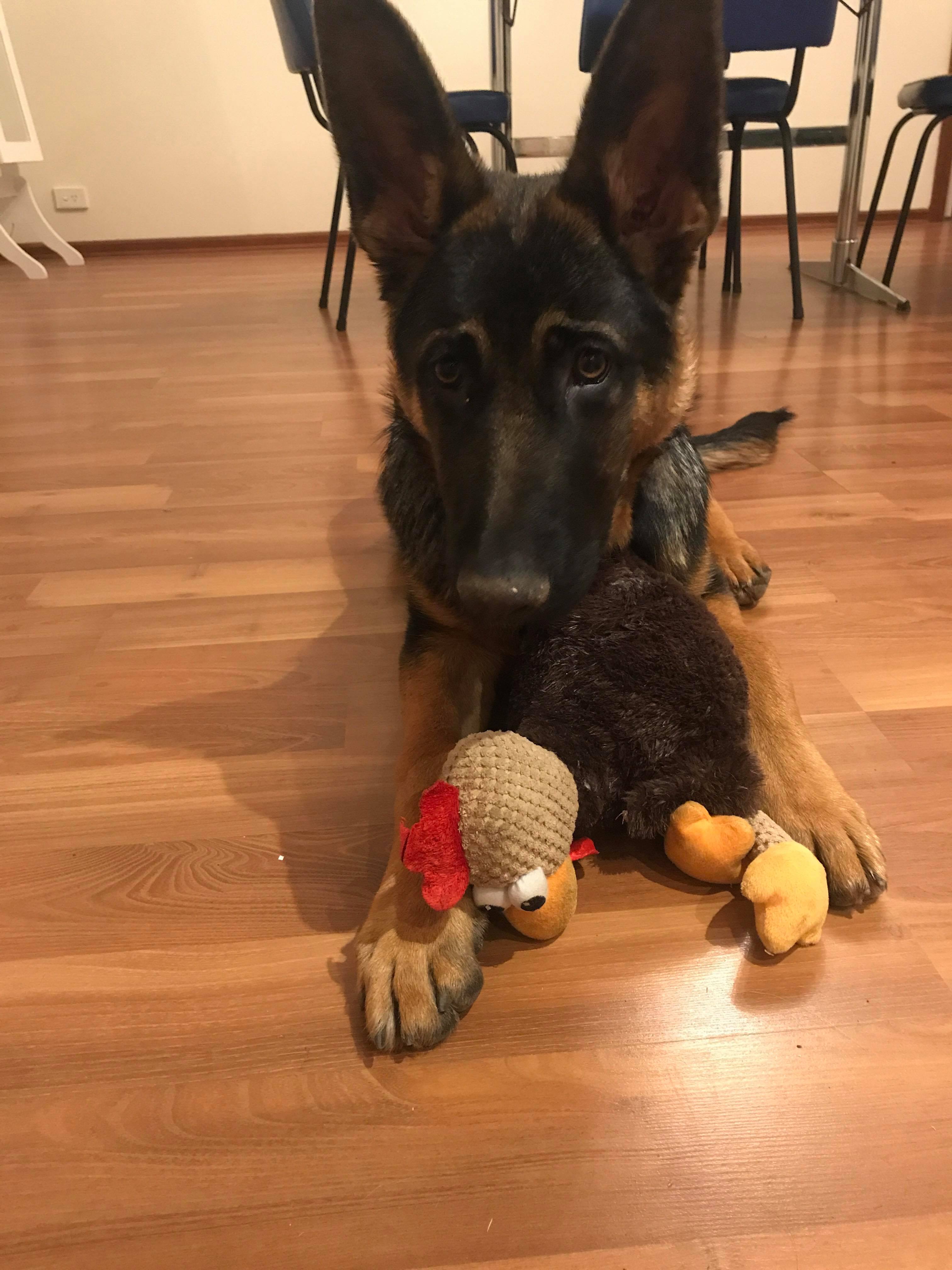 23469206_10212662419787916_1401975316_o