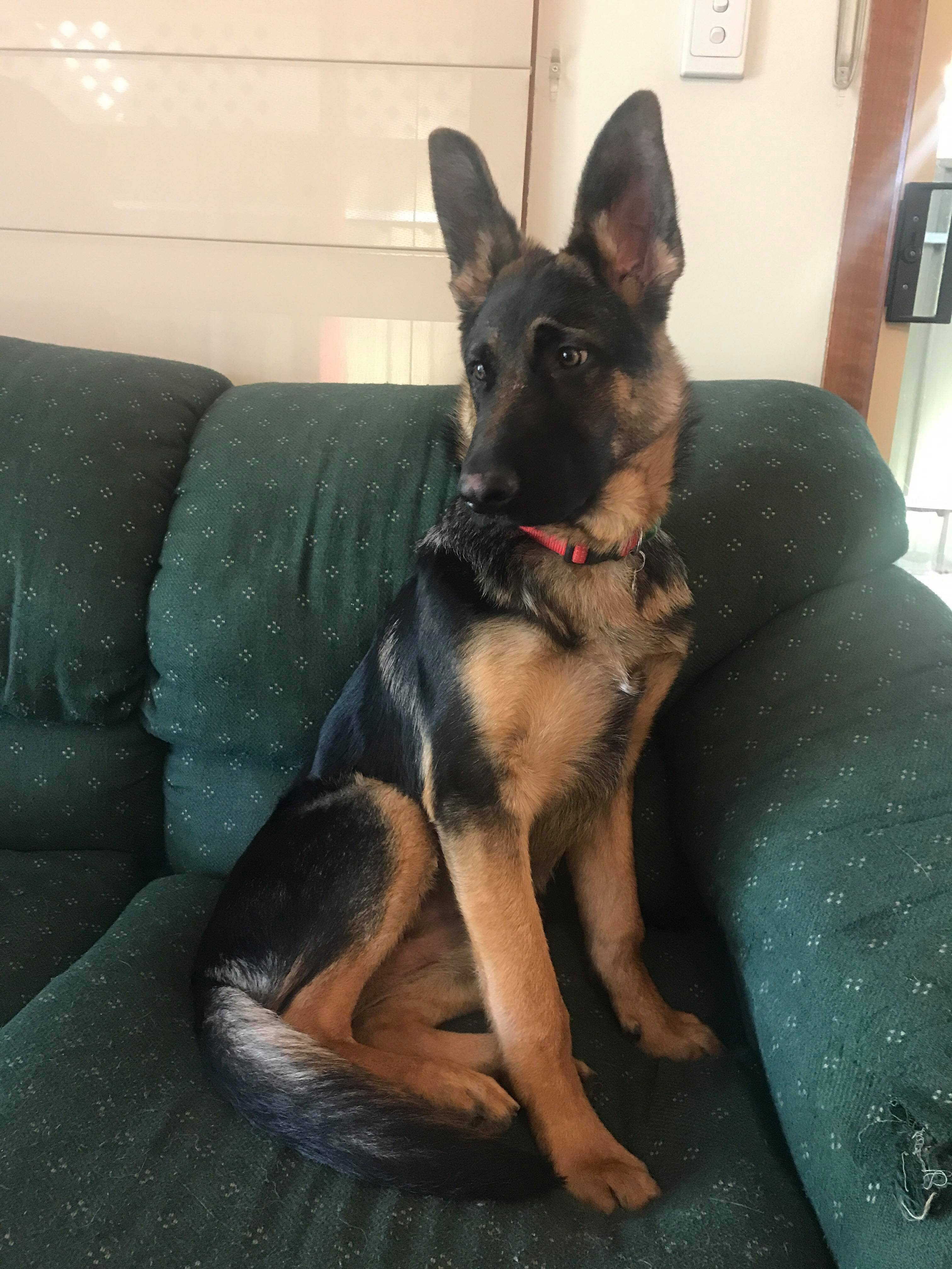 23469251_10212662419507909_1381422571_o