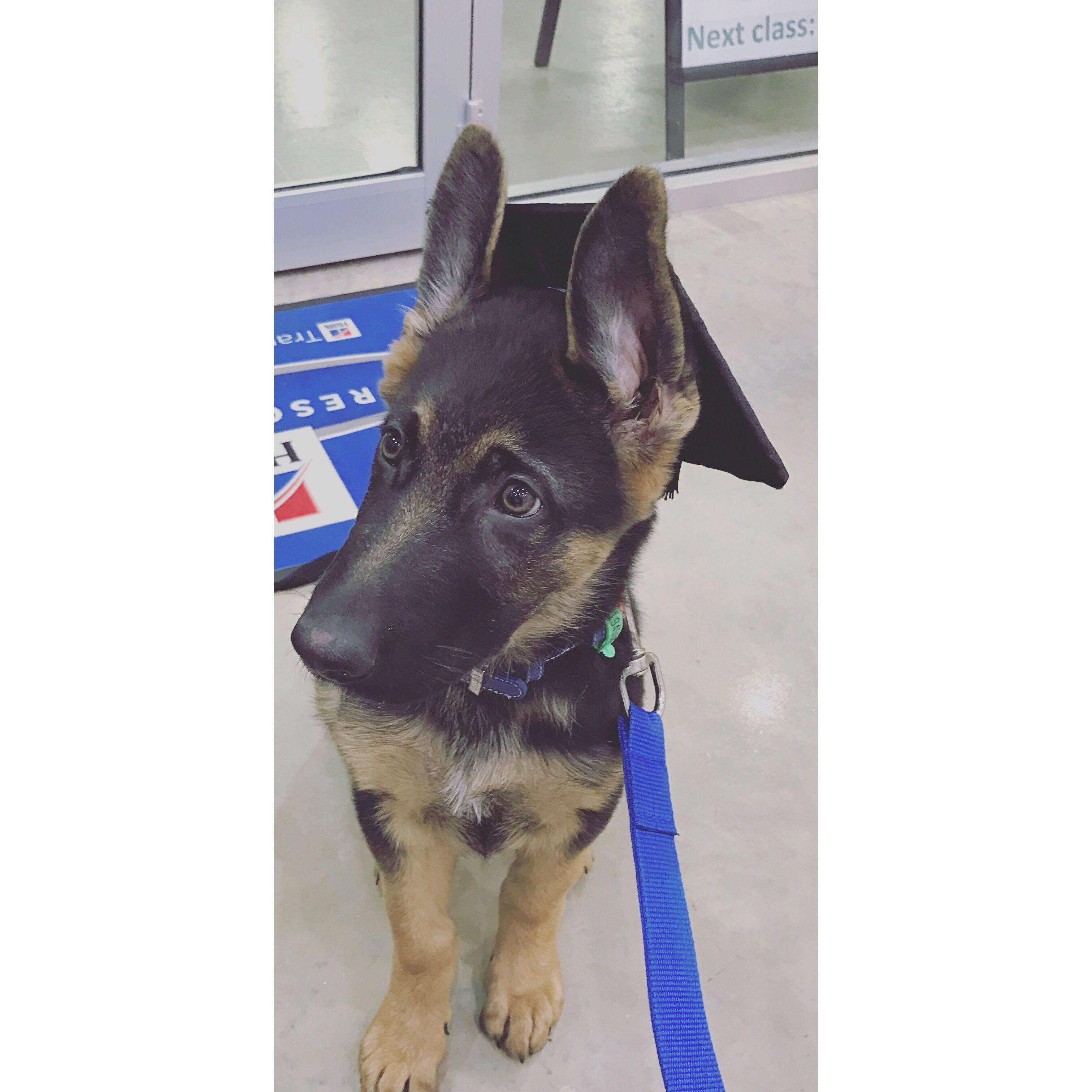 23469376_10212662422627987_1031948767_o