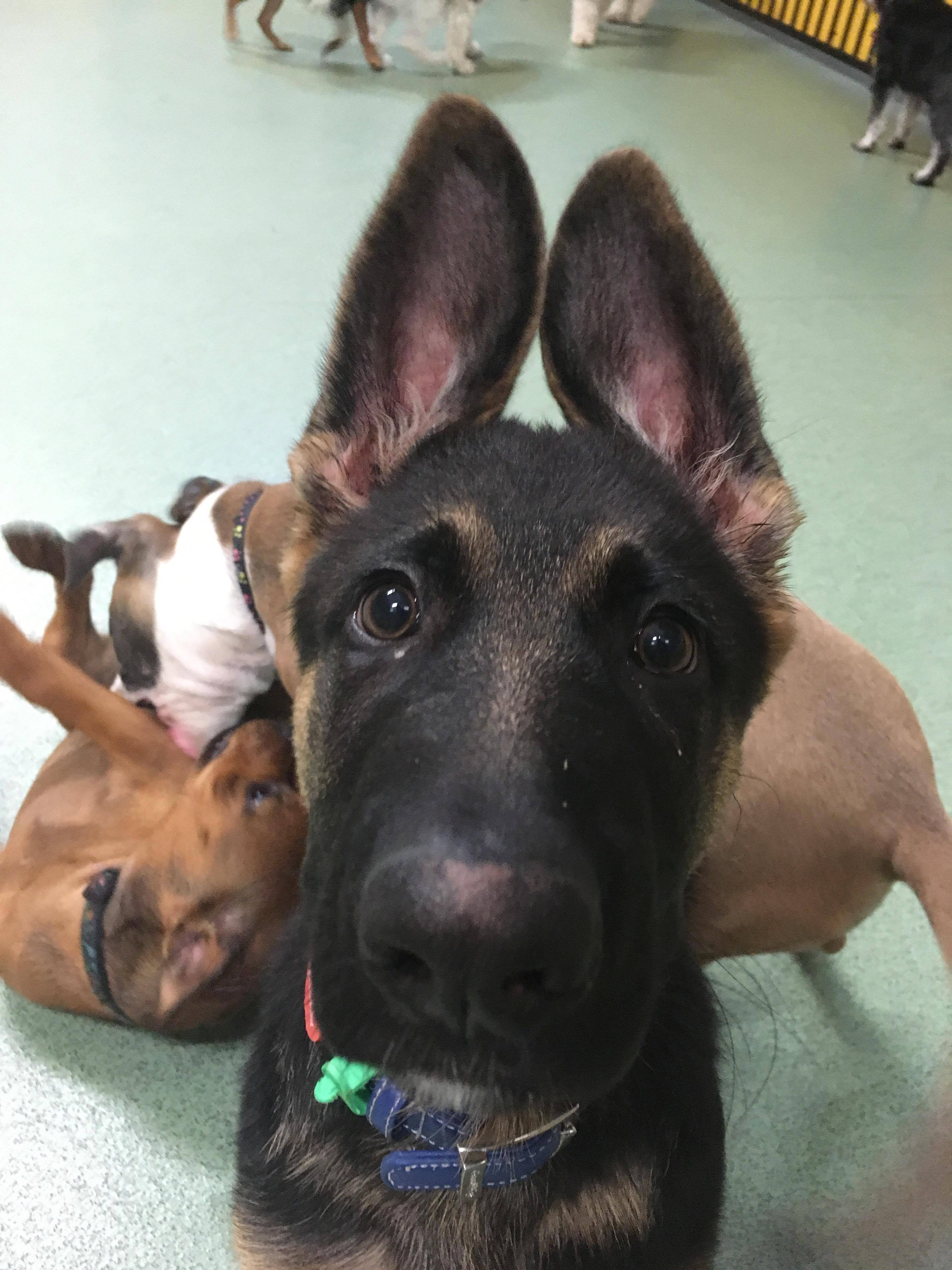 23469385_10212662422787991_925560249_o