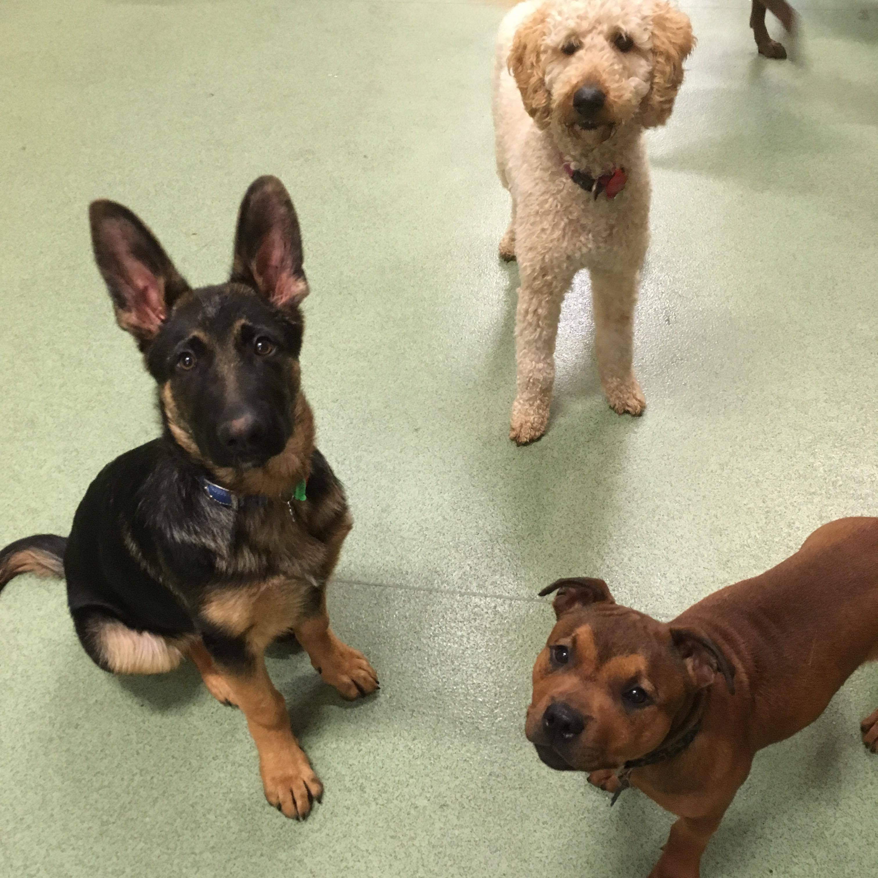 23469392_10212662420027922_1652679842_o