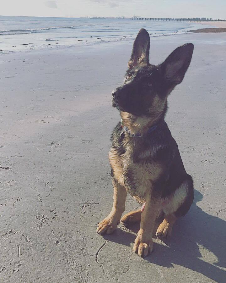 23476614_10212662419907919_1169204791_n