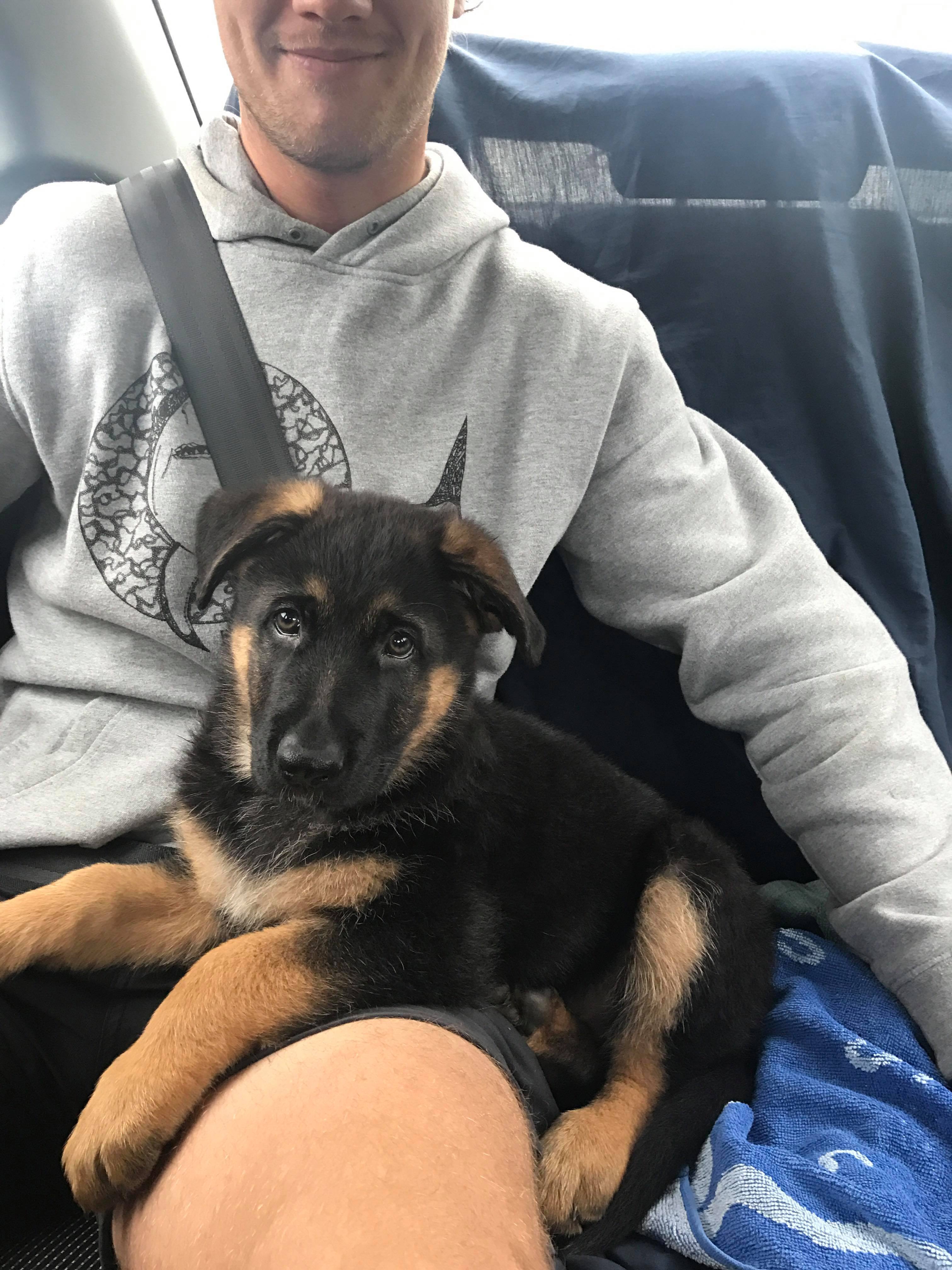 23483094_10212662424108024_2024589182_o