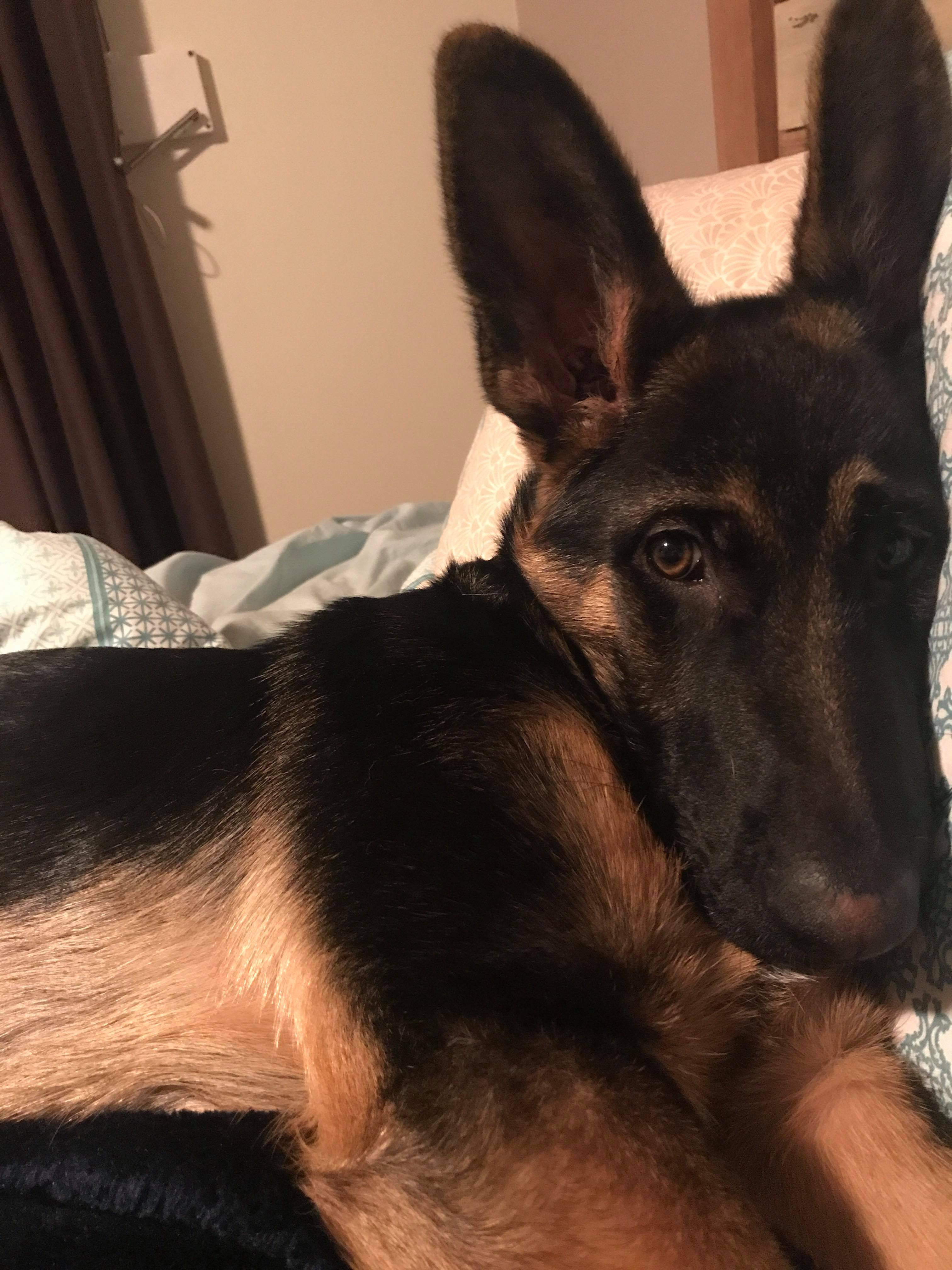 23483099_10212662420187926_1778503015_o