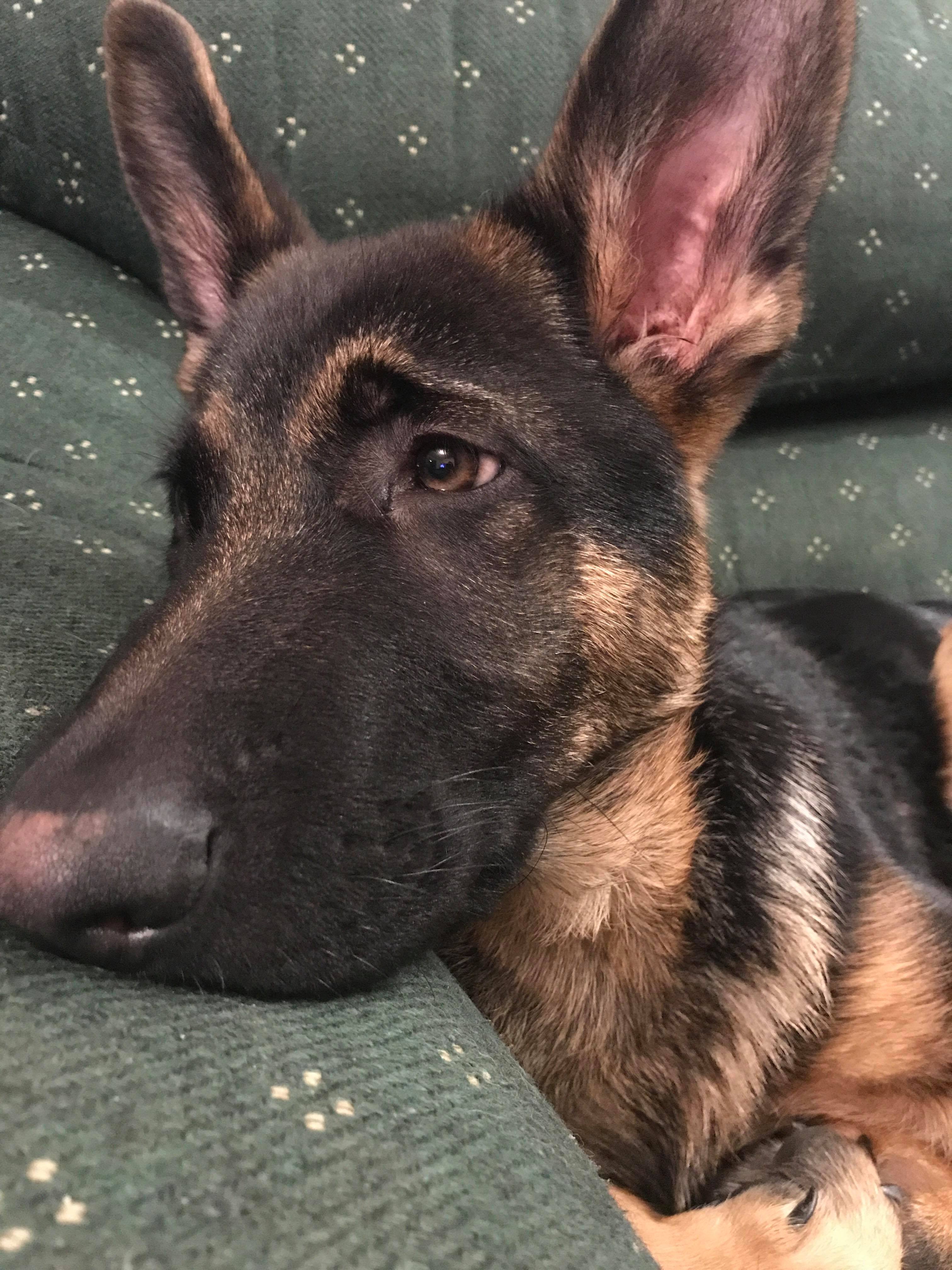 23483129_10212662420227927_1636721593_o