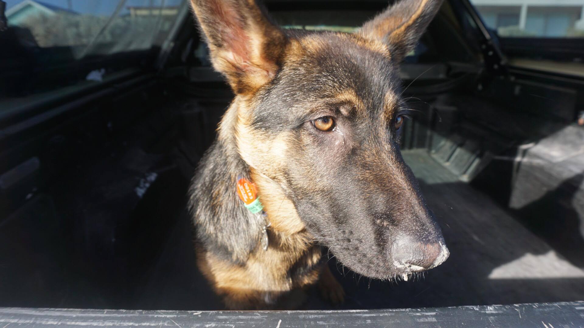 23483165_10212662419827917_950186067_o