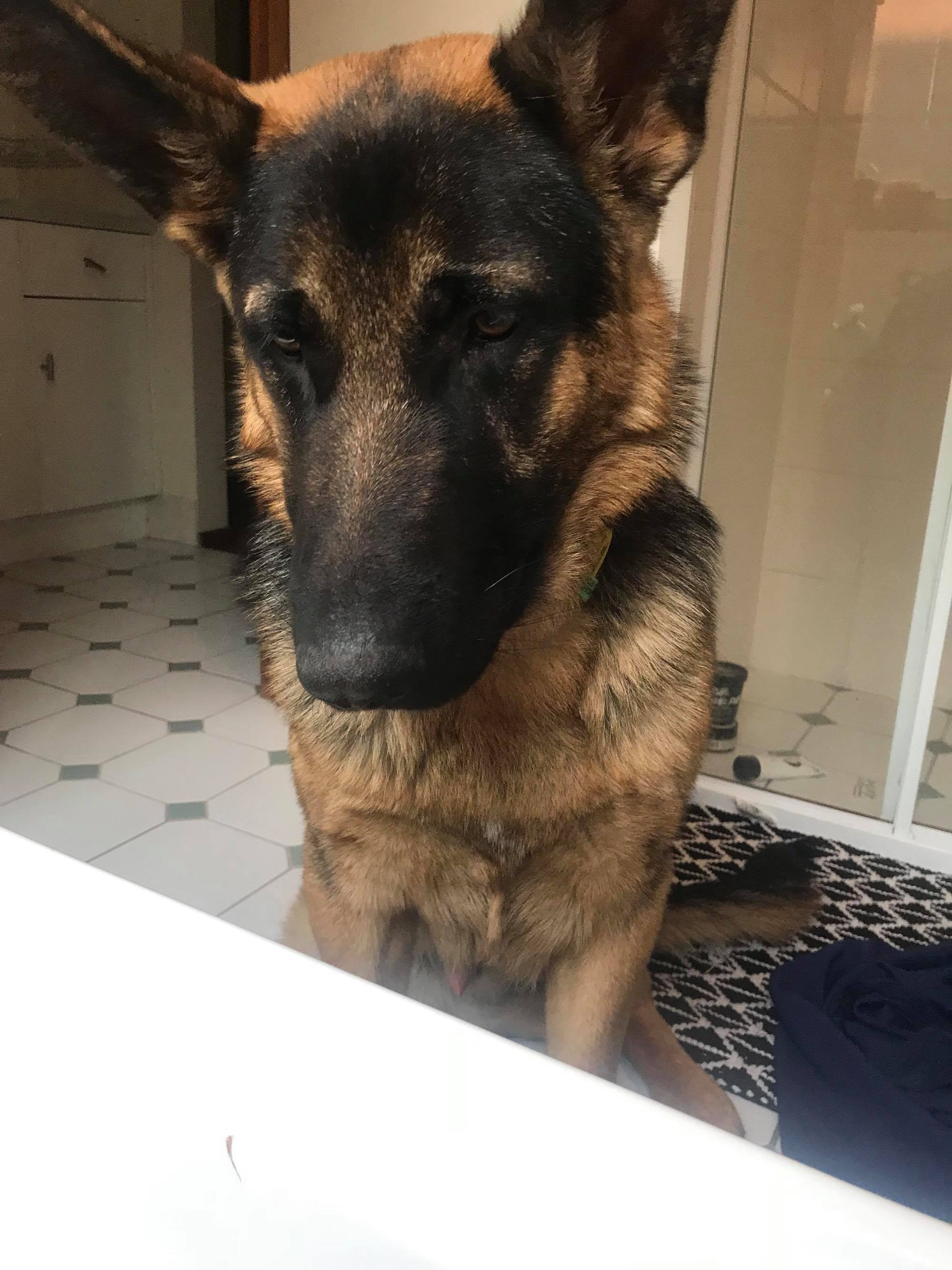 23483181_10212662414147775_857025128_o