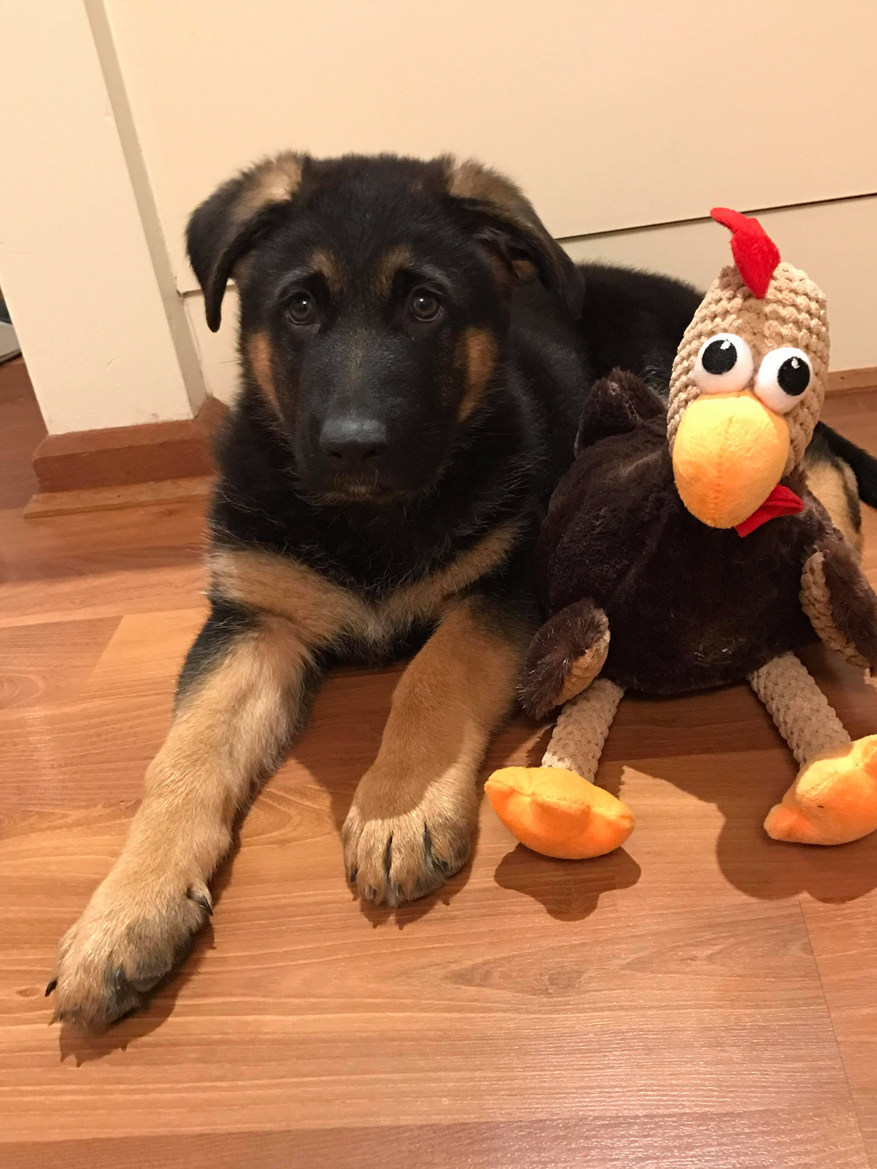 23484872_10212662423988021_1975036549_o