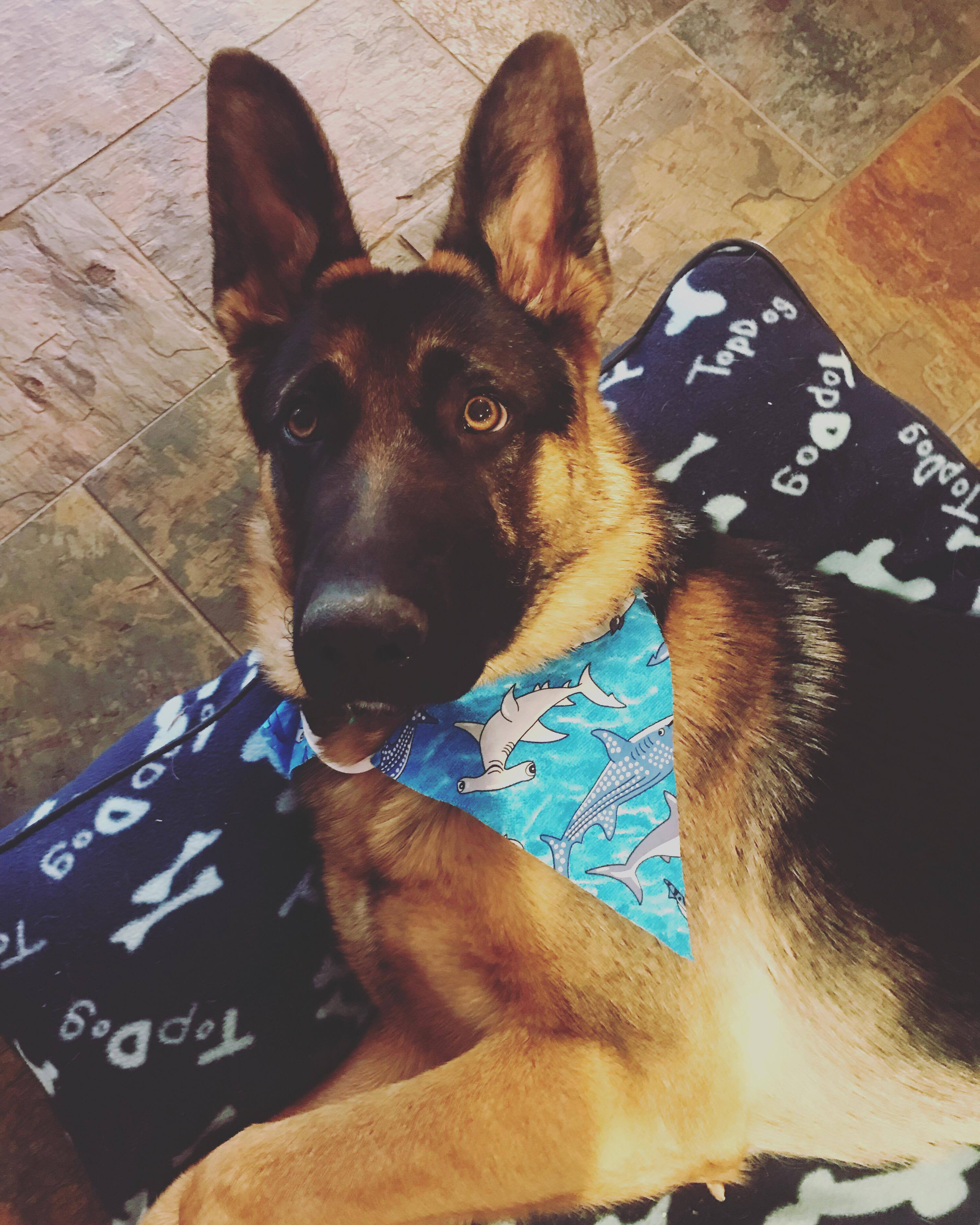 23514516_10212662414547785_115196984_o