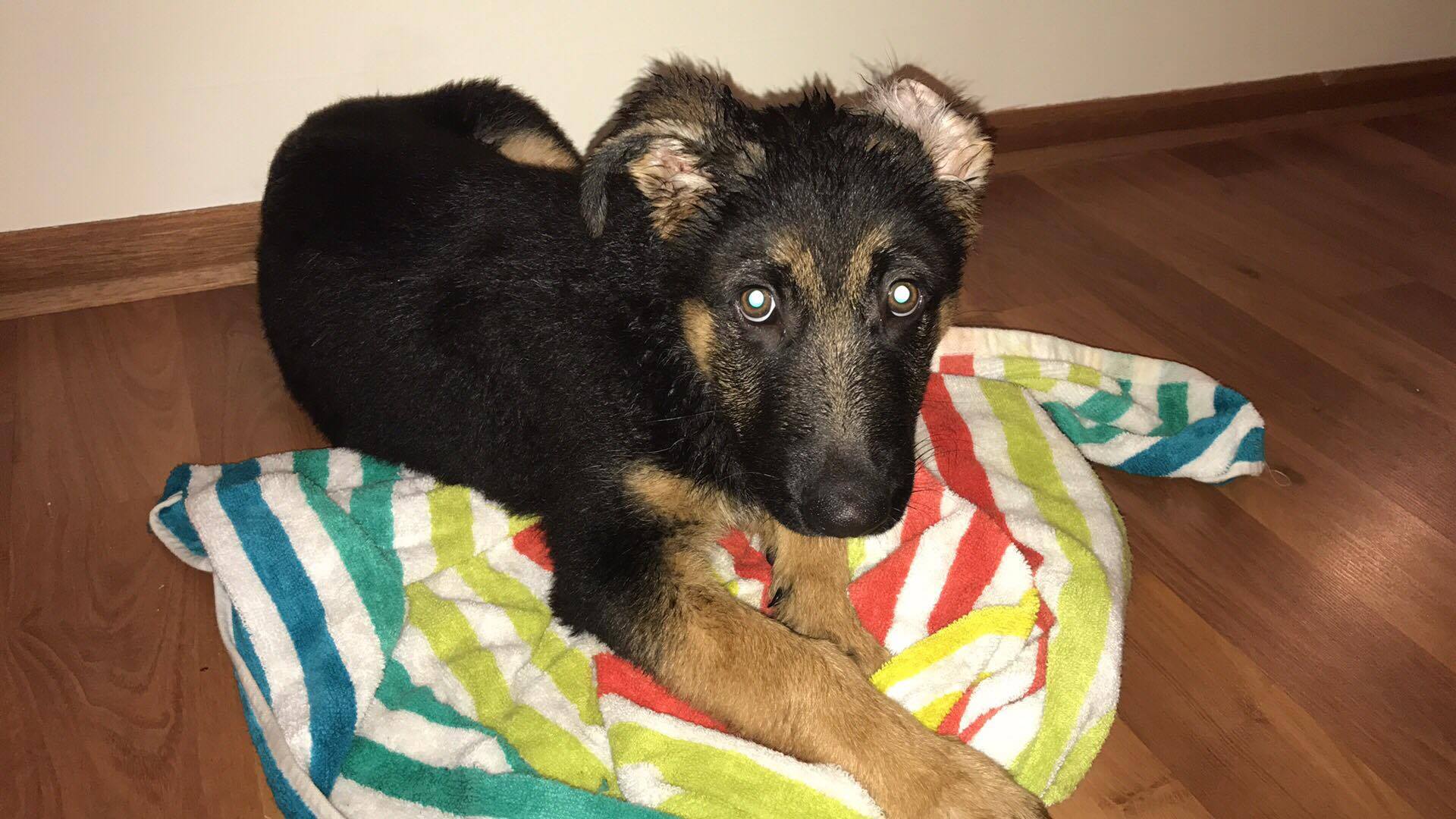 23514768_10212662423748015_1302494311_o