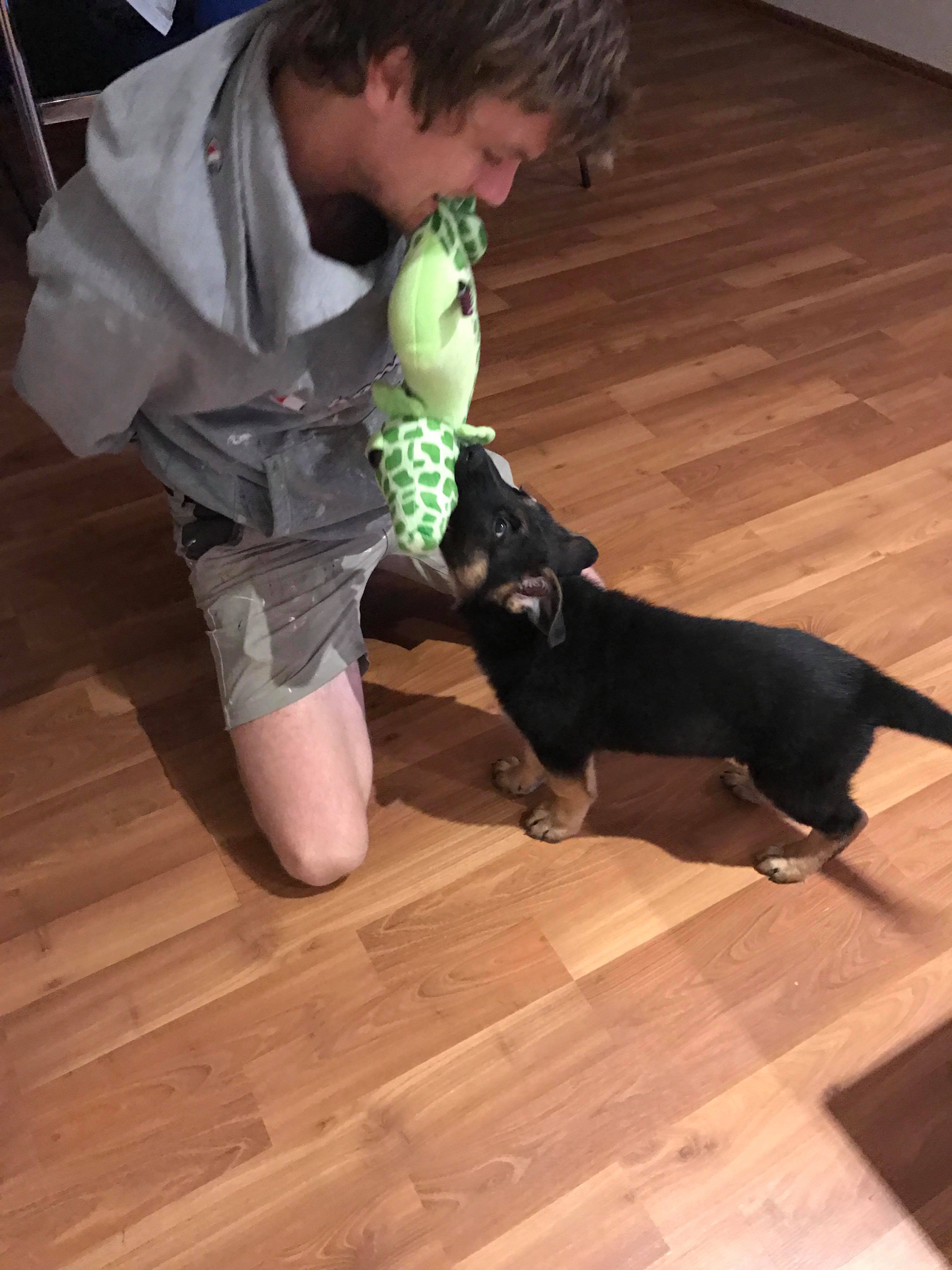 23514780_10212662423948020_499484307_o