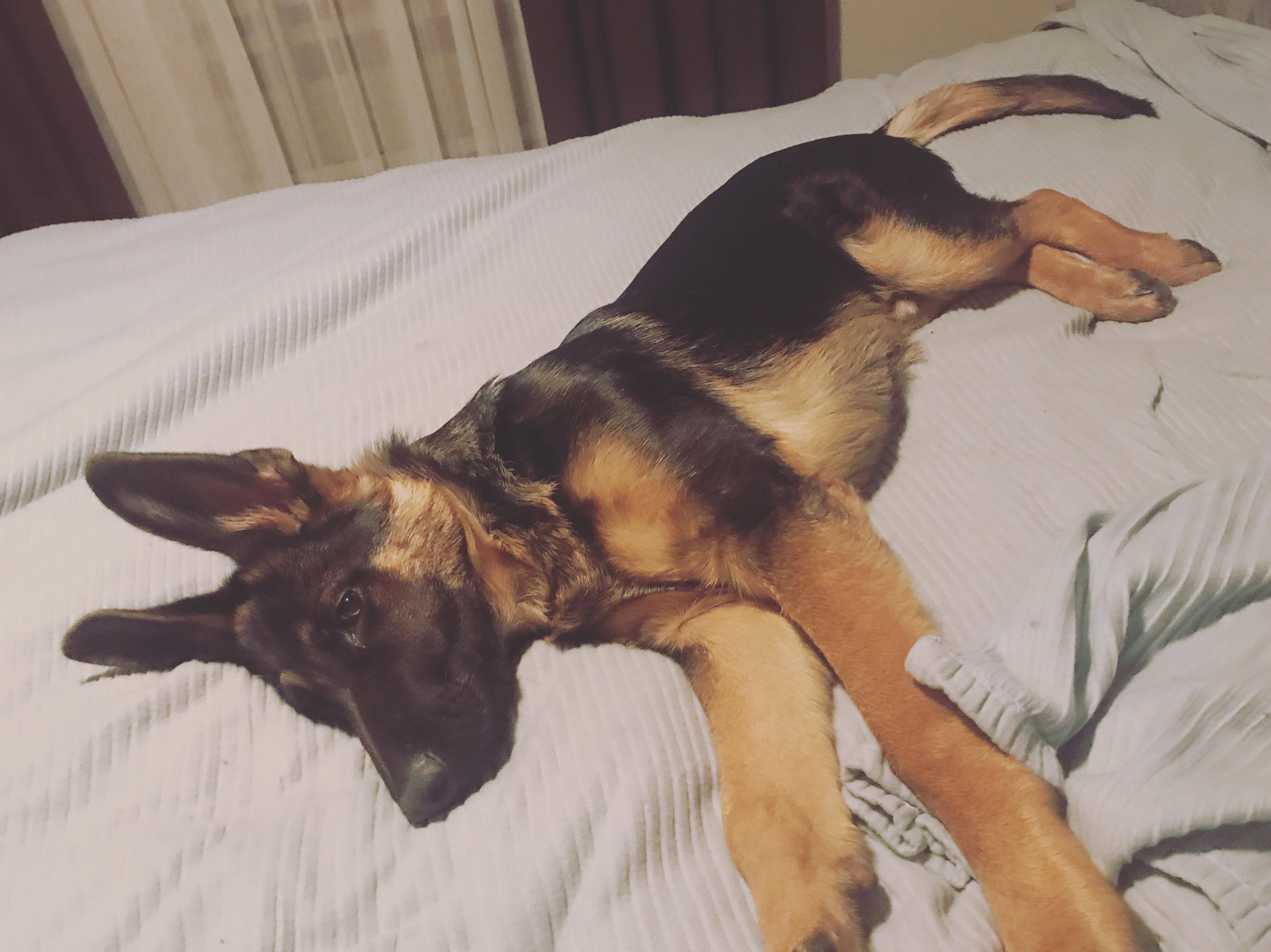 23516058_10212662419707914_1412402946_o