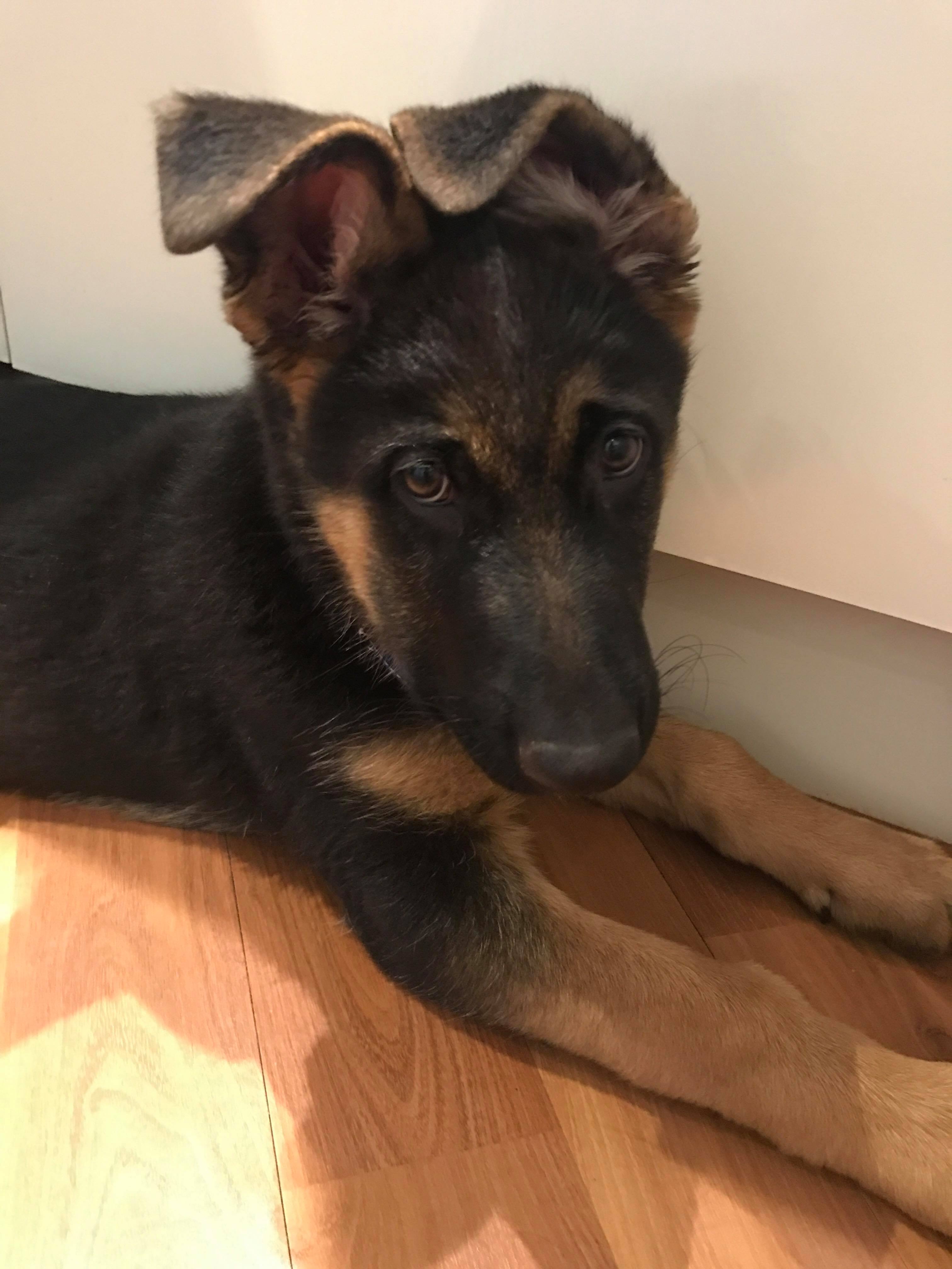 23547034_10212662424028022_797924083_o