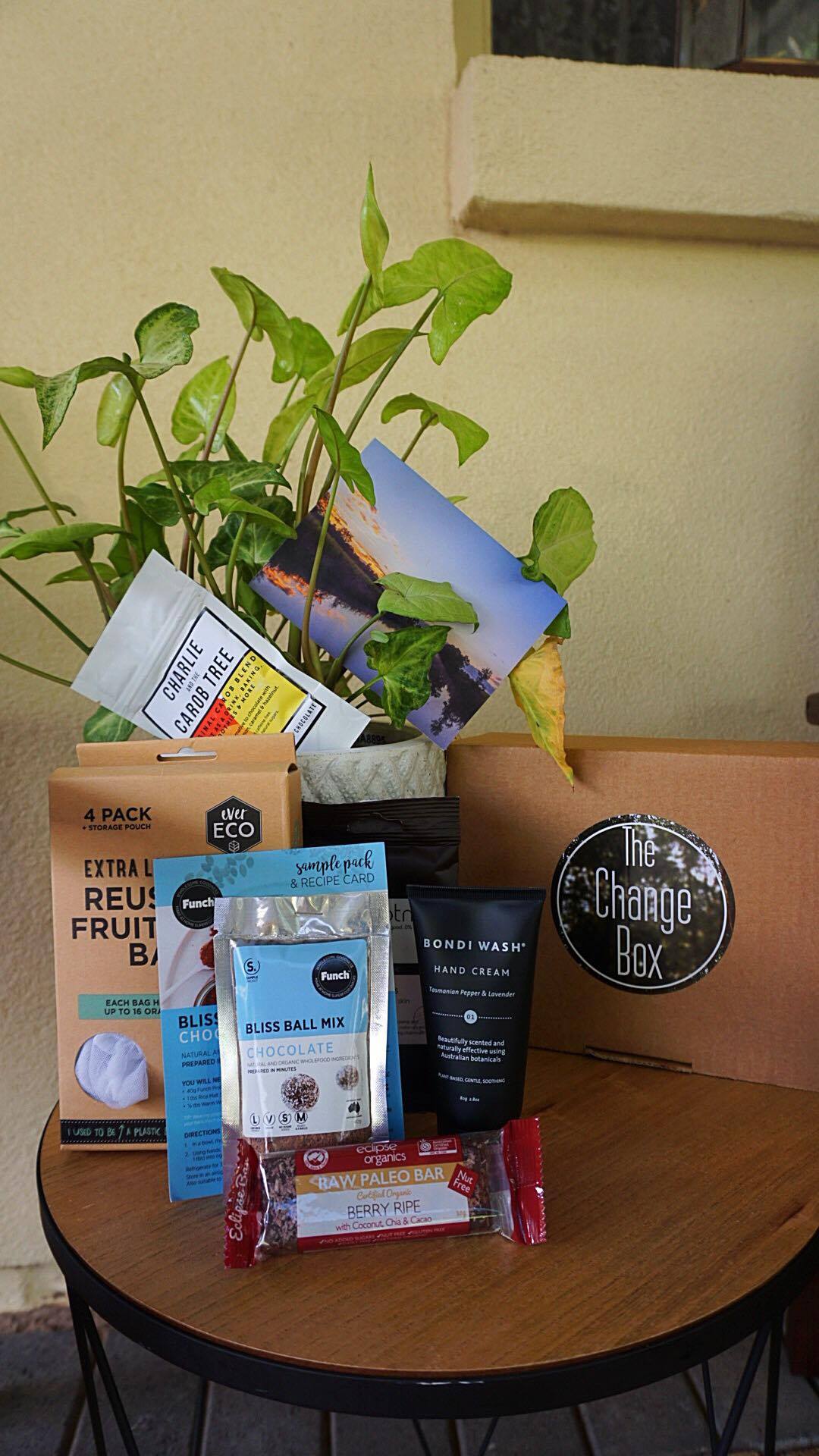 23730879_10212709684649508_1750233381_o